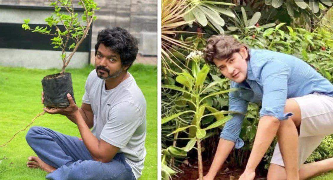 “Please don’t compare Mahesh Babu and Vijay”- Actor Vivek's request to fans
