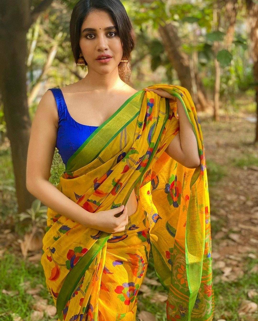 Actress Nabha Natesh Ugadi Special Photoshoot!