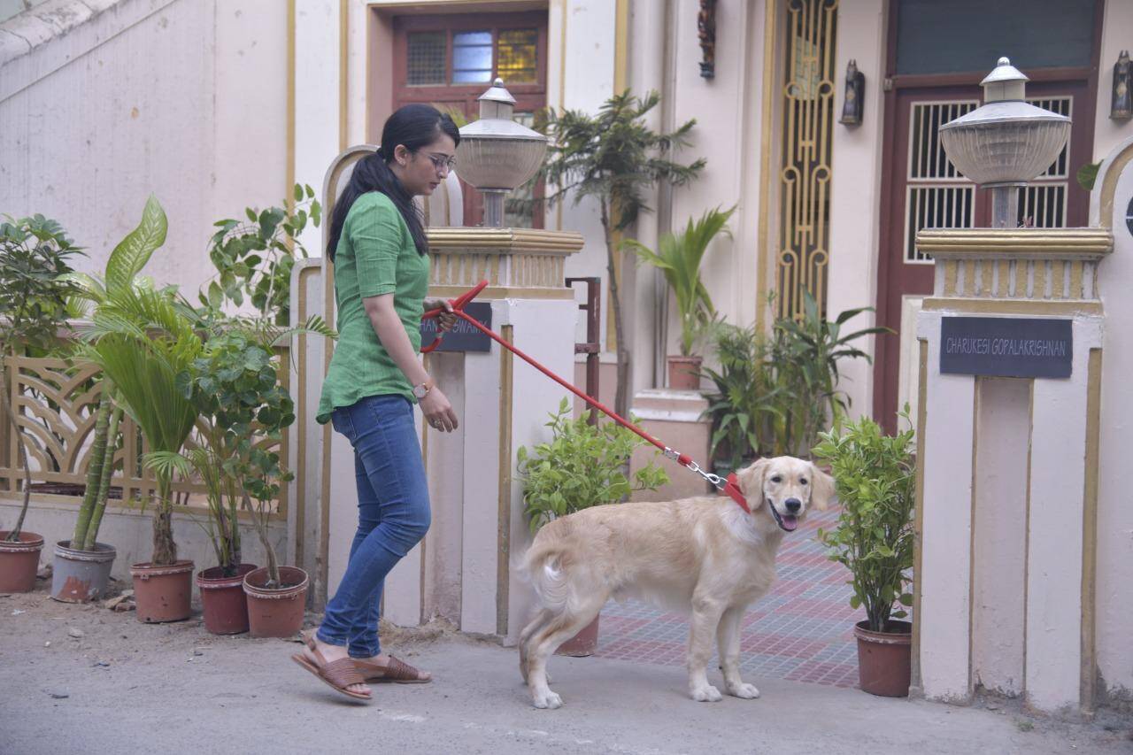 Achcham Madam Naanam Payirppu enthralling trailer unveiled by Ulaga Nayagan