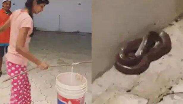 Actress Keerthy Pandian leaves her fans startled as she carries her unexpected slithering visitor