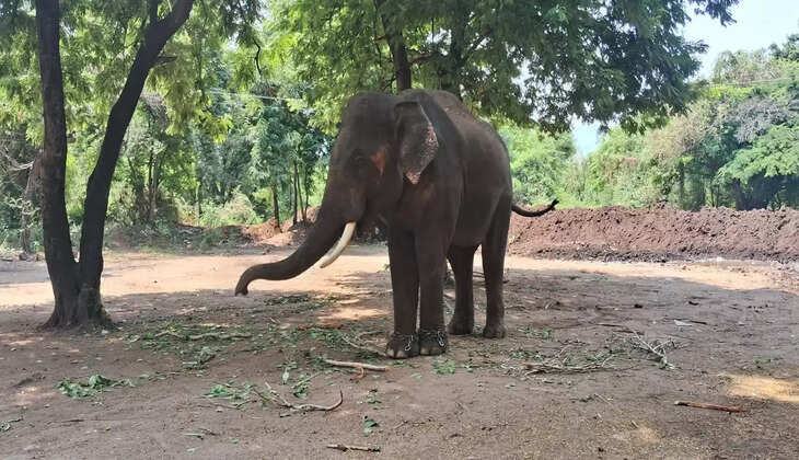kumki