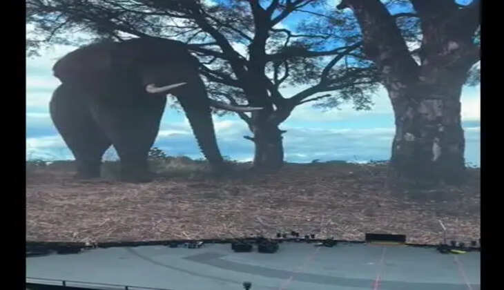 உலகின் மிகப்பெரிய திரையரங்கம் அமெரிக்காவில் திறப்பு